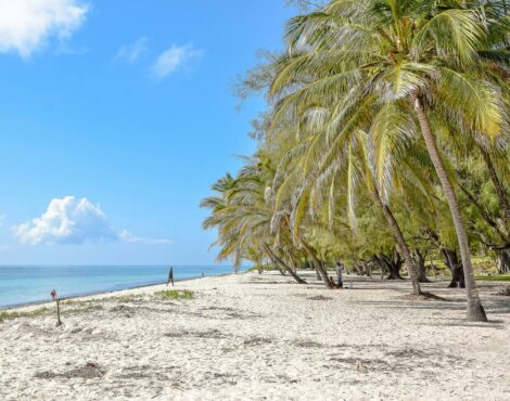 abdullatif-mutisya-EssDMofeuac-unsplash